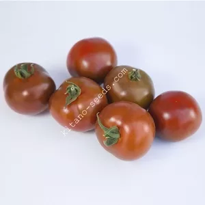Семена коричневого томата KS 3900 F1